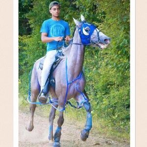 Meet your Posher, Bryce